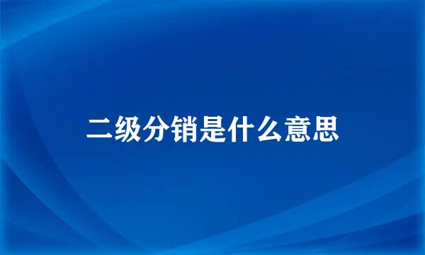 二级分销是什么意思