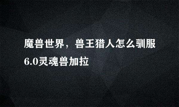 魔兽世界，兽王猎人怎么驯服6.0灵魂兽加拉