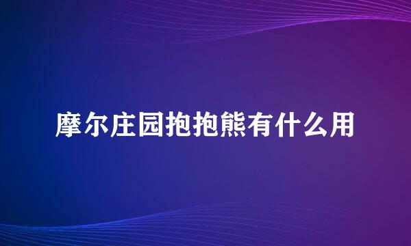 摩尔庄园抱抱熊有什么用
