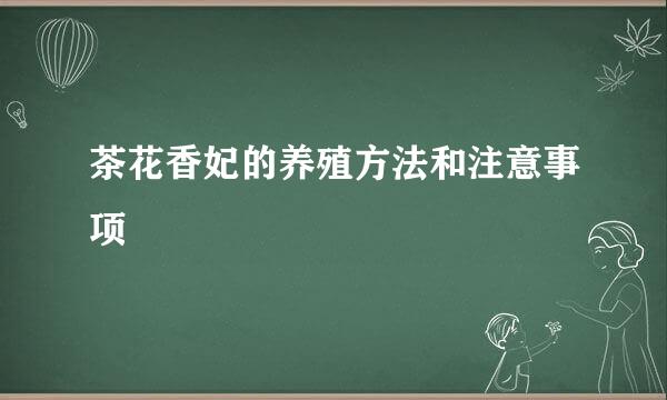 茶花香妃的养殖方法和注意事项