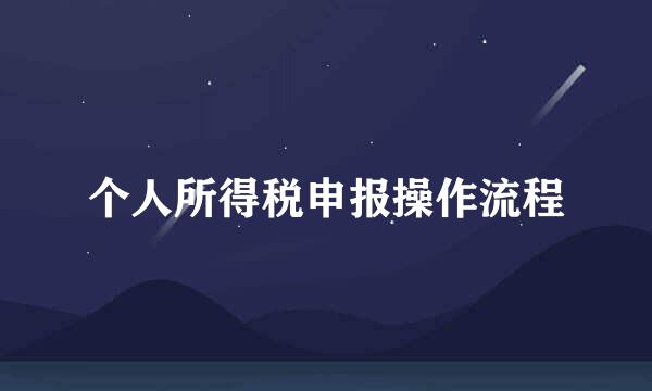 个人所得税申报操作流程