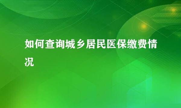 如何查询城乡居民医保缴费情况