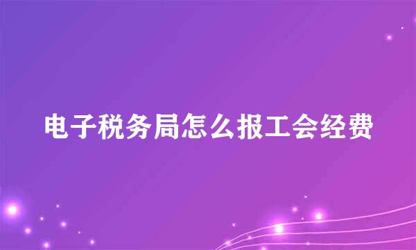 电子税务局怎么报工会经费