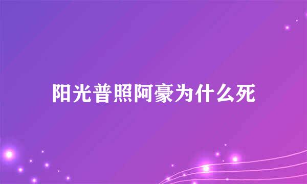 阳光普照阿豪为什么死