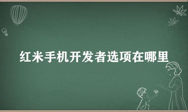红米手机开发者选项在哪里