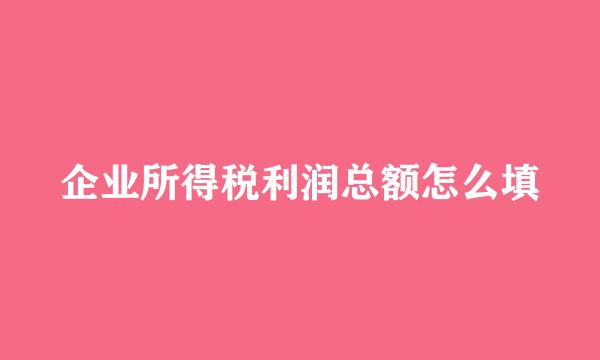 企业所得税利润总额怎么填