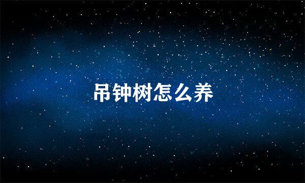 吊钟树怎么养
