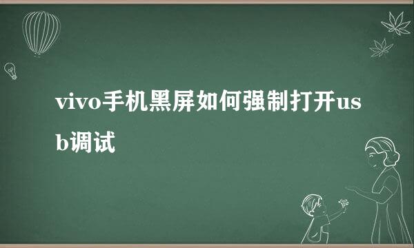 vivo手机黑屏如何强制打开usb调试