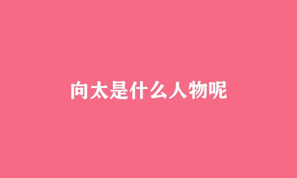 向太是什么人物呢