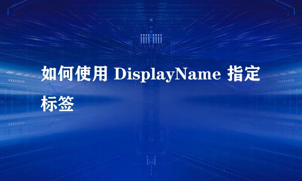 如何使用 DisplayName 指定标签