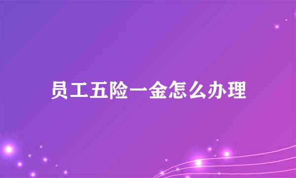 员工五险一金怎么办理