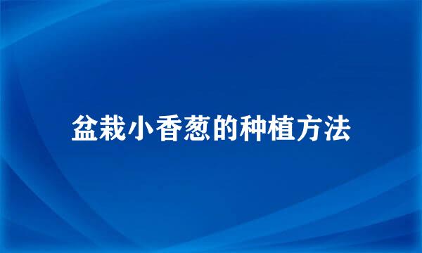 盆栽小香葱的种植方法