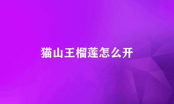 猫山王榴莲怎么开