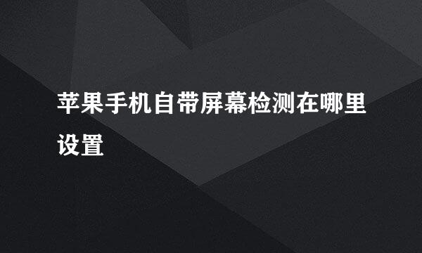 苹果手机自带屏幕检测在哪里设置