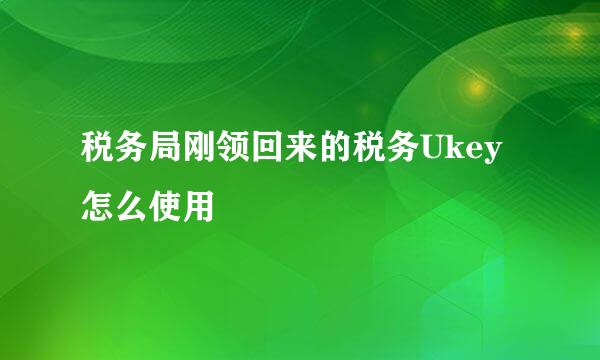 税务局刚领回来的税务Ukey怎么使用