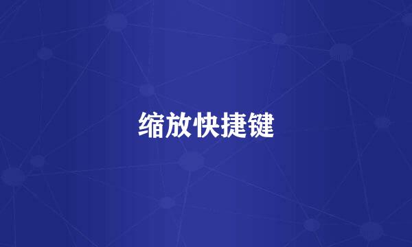 缩放快捷键