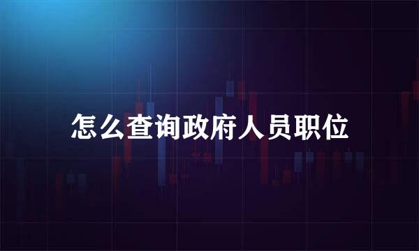 怎么查询政府人员职位