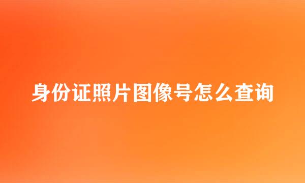 身份证照片图像号怎么查询