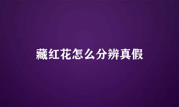 藏红花怎么分辨真假