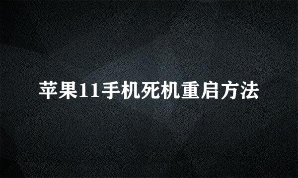 苹果11手机死机重启方法