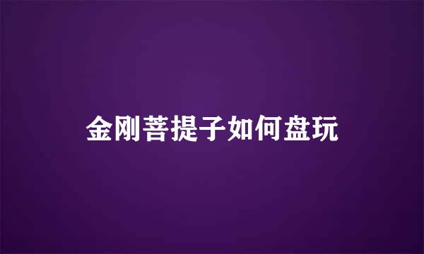 金刚菩提子如何盘玩