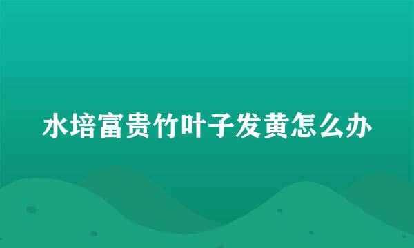 水培富贵竹叶子发黄怎么办