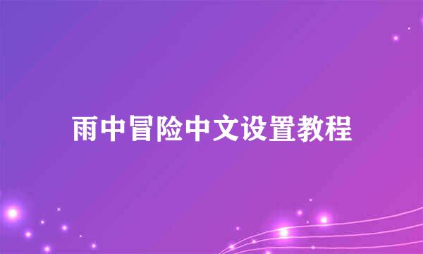 雨中冒险中文设置教程