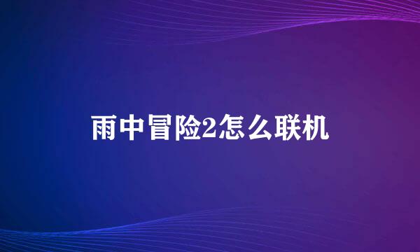 雨中冒险2怎么联机
