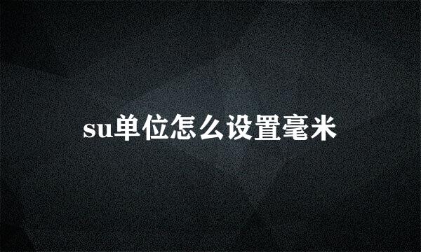 su单位怎么设置毫米
