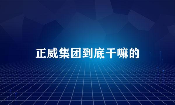 正威集团到底干嘛的