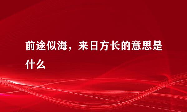 前途似海，来日方长的意思是什么