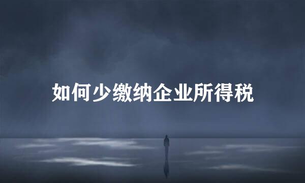 如何少缴纳企业所得税