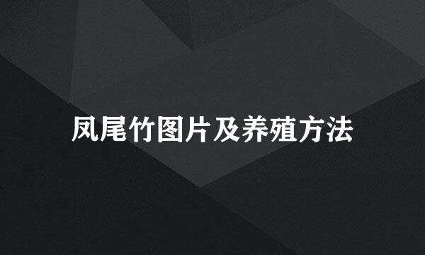 凤尾竹图片及养殖方法