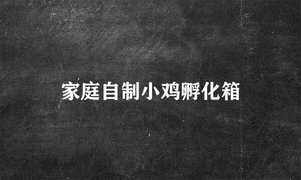 家庭自制小鸡孵化箱
