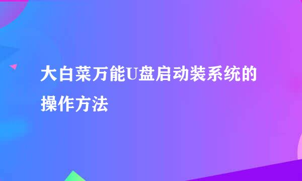 大白菜万能U盘启动装系统的操作方法