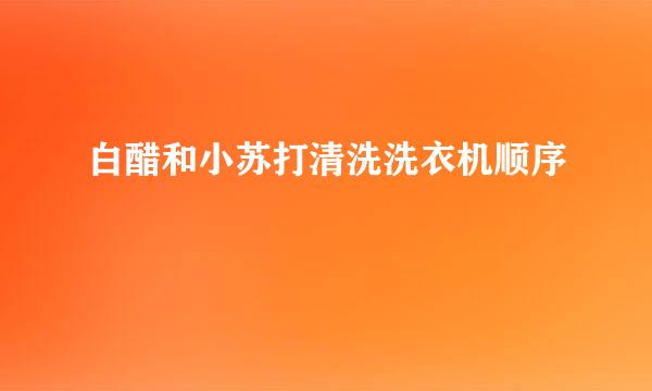 白醋和小苏打清洗洗衣机顺序