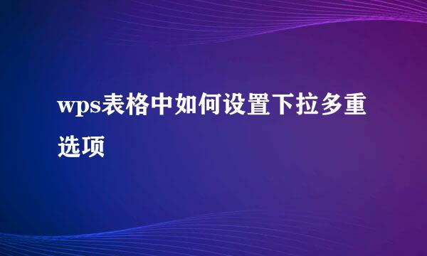 wps表格中如何设置下拉多重选项