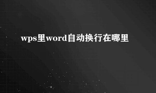 wps里word自动换行在哪里
