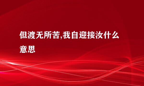 但渡无所苦,我自迎接汝什么意思