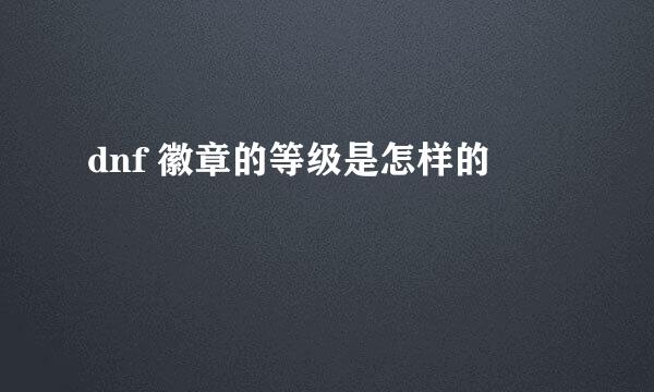 dnf 徽章的等级是怎样的