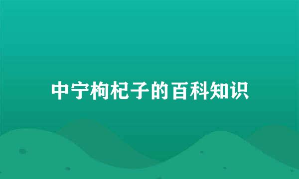 中宁枸杞子的百科知识