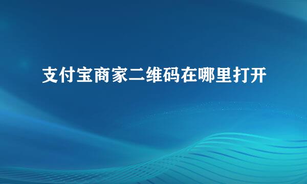 支付宝商家二维码在哪里打开