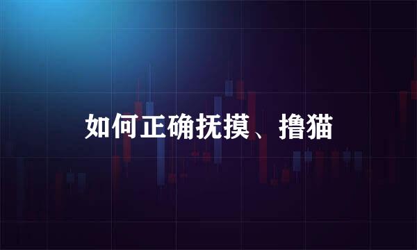 如何正确抚摸、撸猫