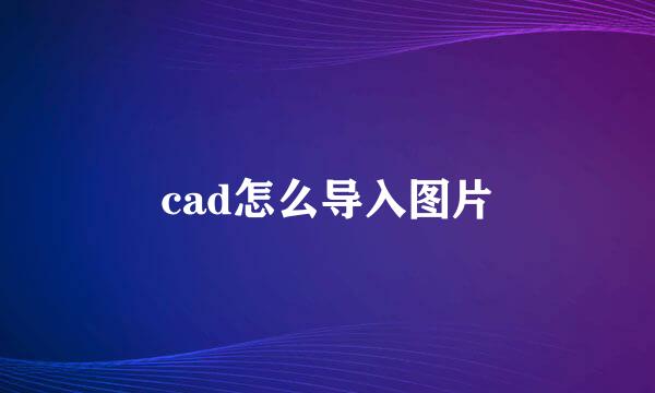 cad怎么导入图片
