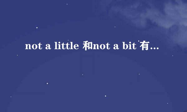 not a little 和not a bit 有什么区别