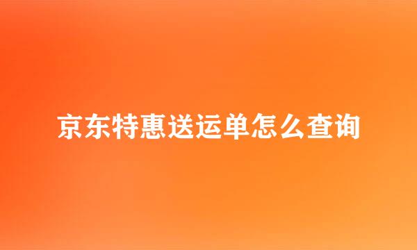 京东特惠送运单怎么查询