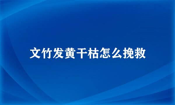 文竹发黄干枯怎么挽救