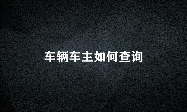 车辆车主如何查询