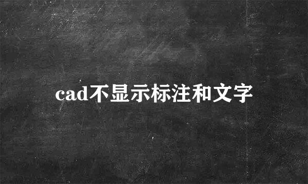 cad不显示标注和文字