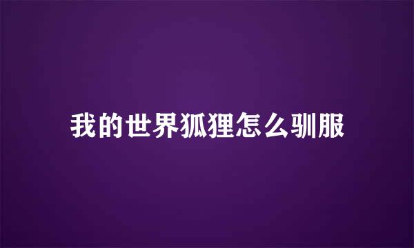 我的世界狐狸怎么驯服